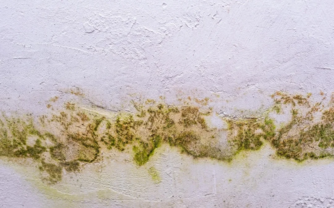 Photo of wall texture pattern